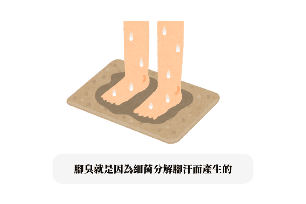 腳臭酸味可能是這一器官發出的警訊!3 招去除腳臭酸味